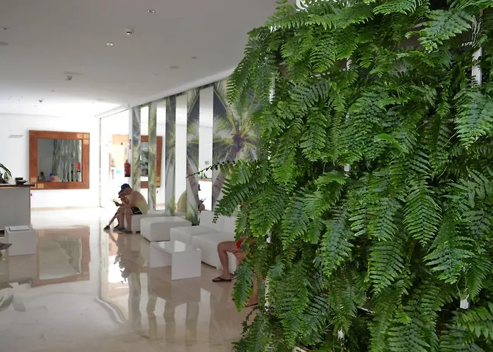 Parque De Americas Playa de las Américas